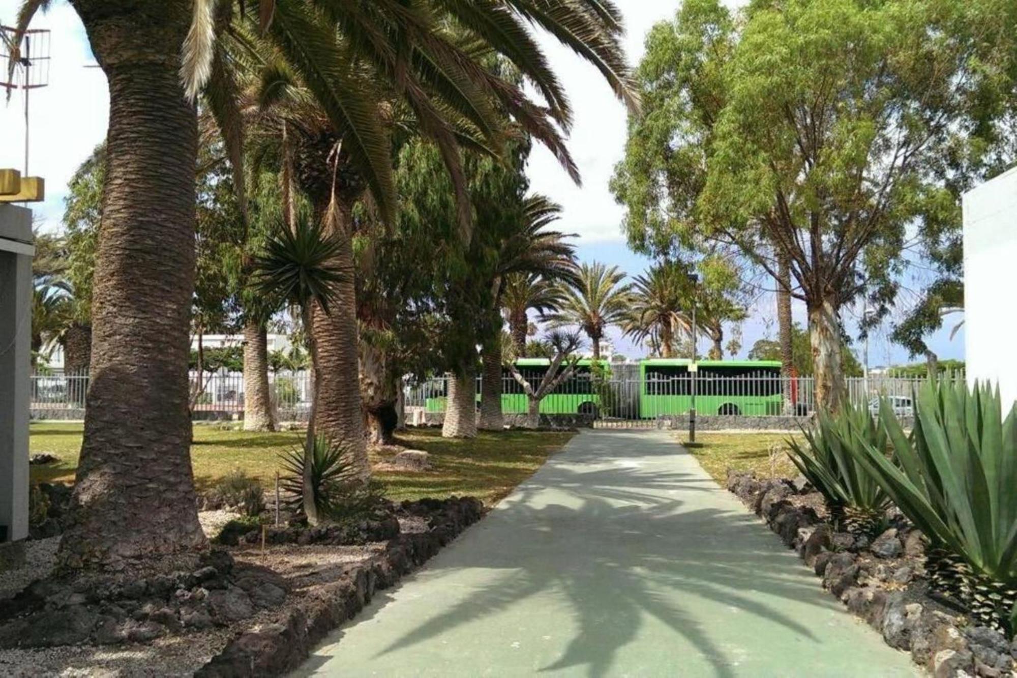 Papagayo Beach Apartments Arona  Exterior foto